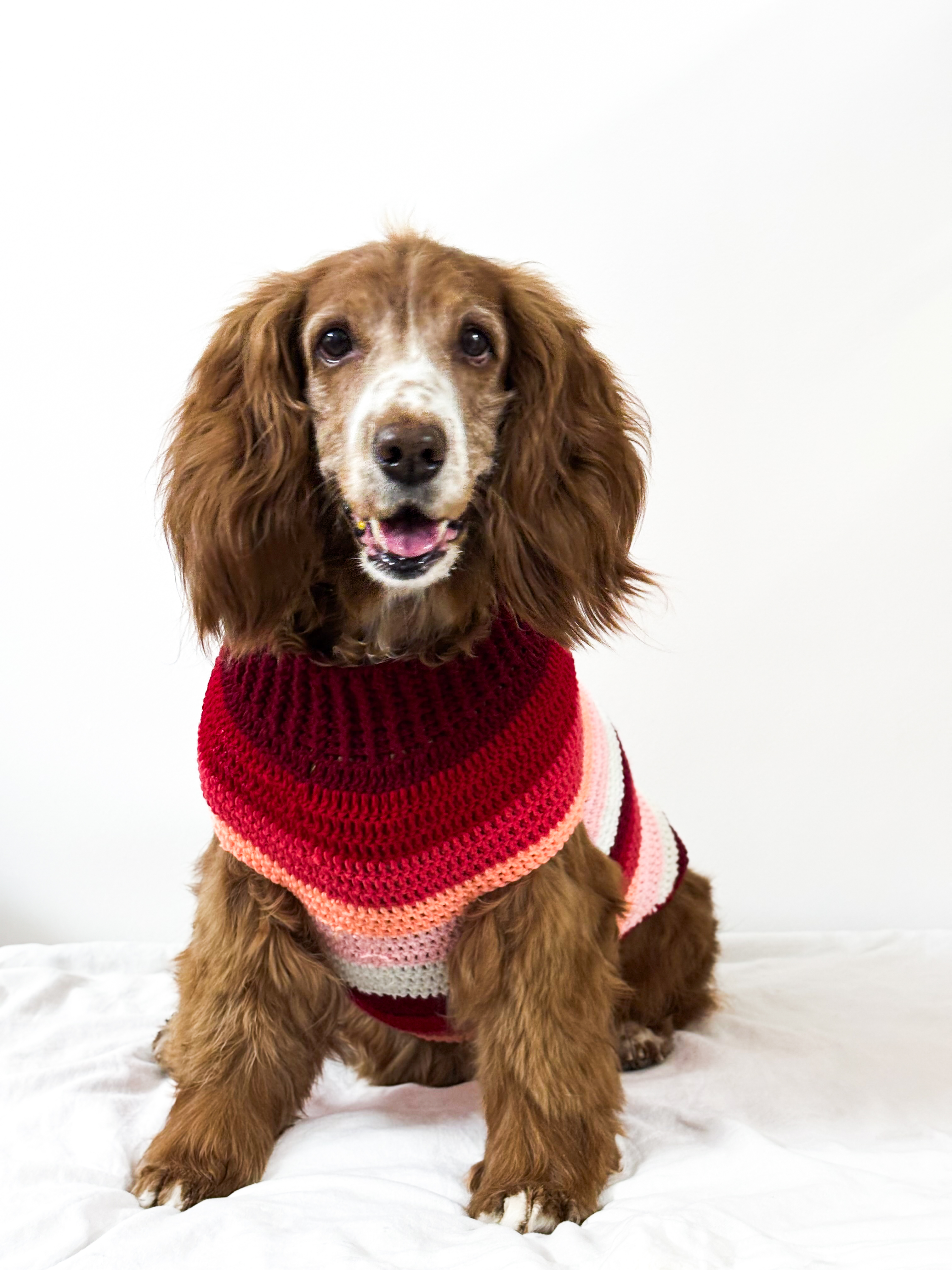 Rosy Stripes Sweater
