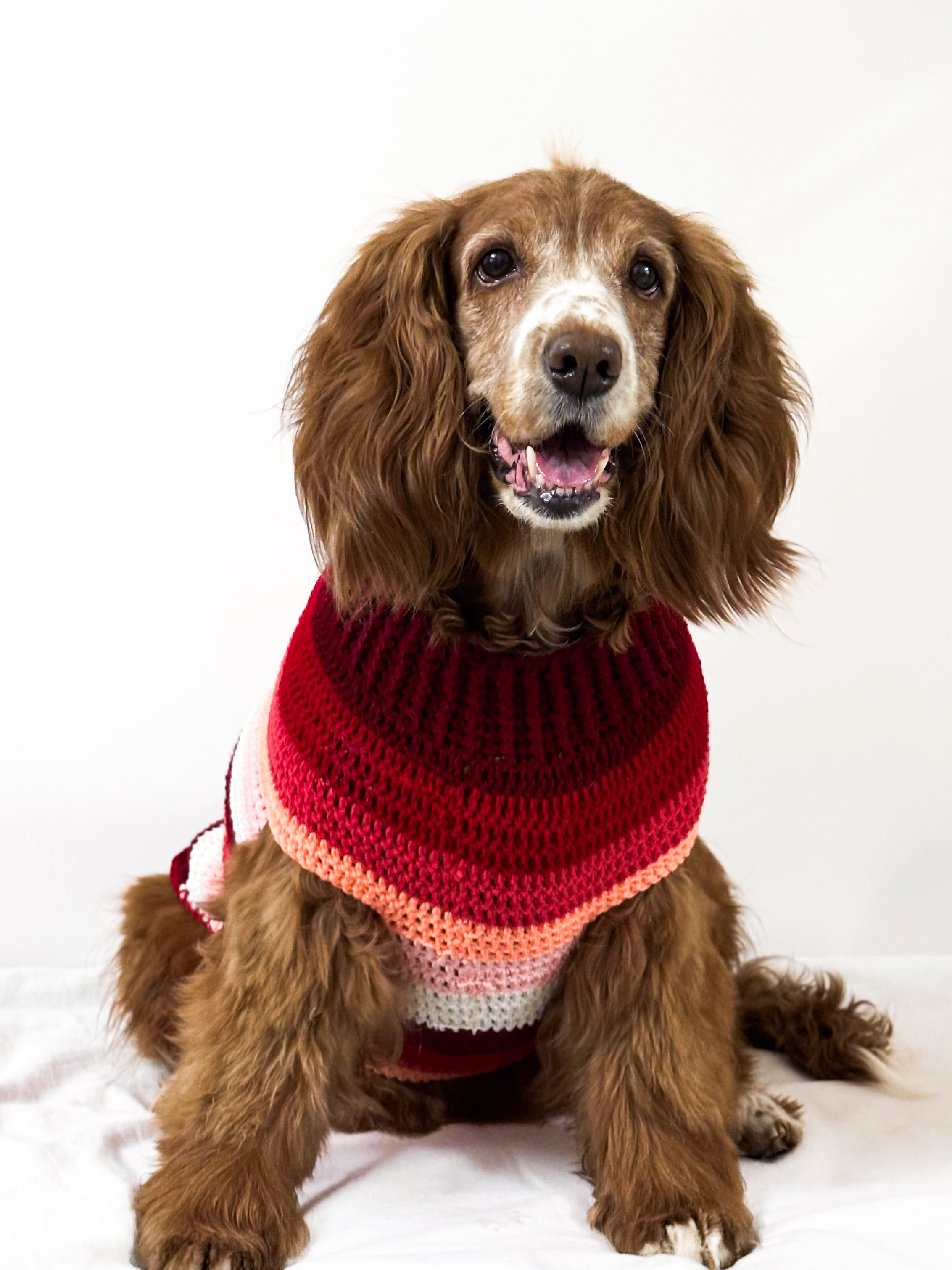 Rosy Stripes Sweater